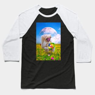 The Solitary Collector Baseball T-Shirt